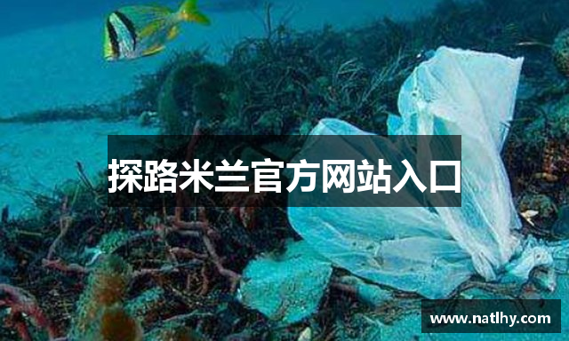 探路米兰官方网站入口